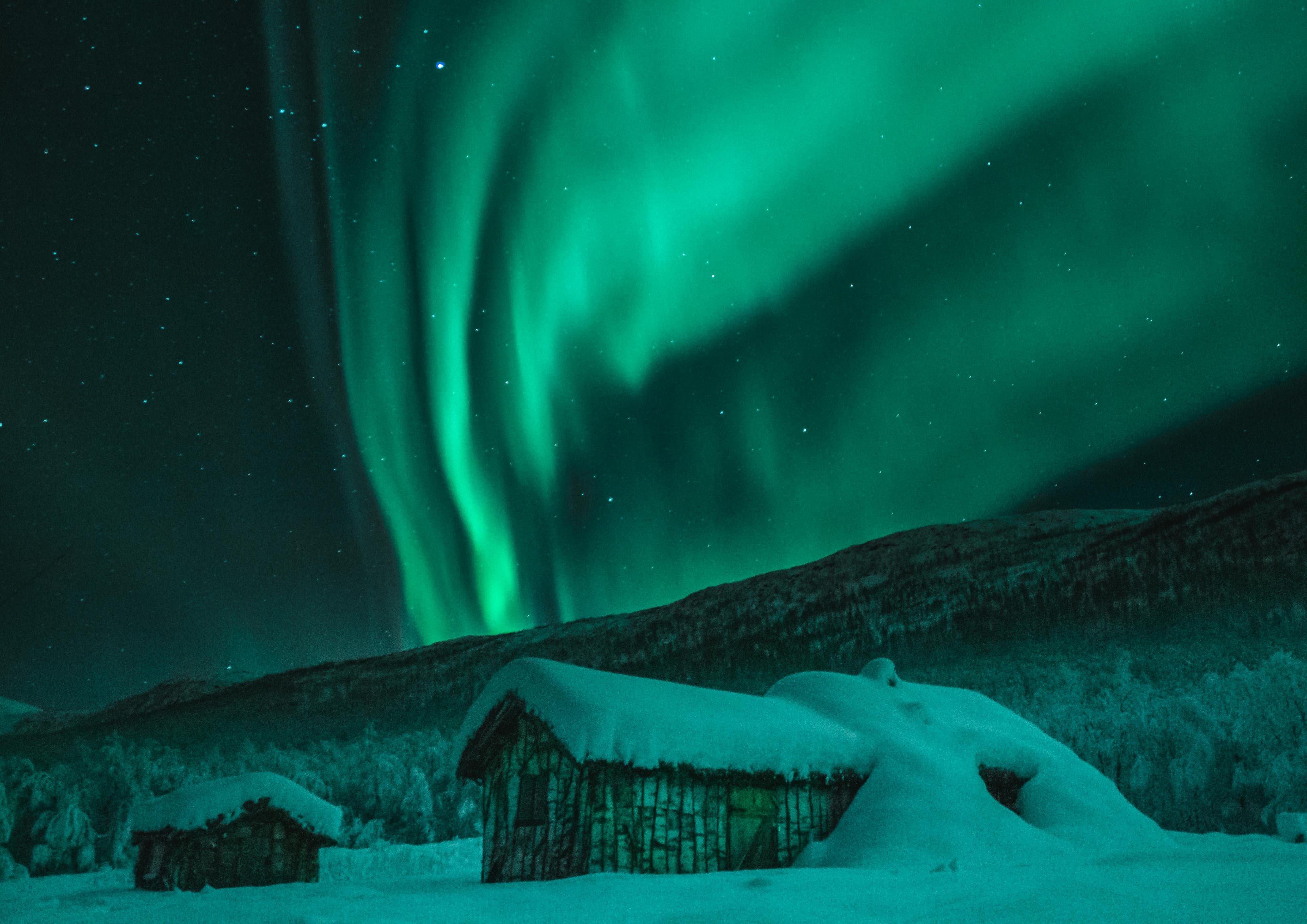 Northern lights in a starry sky streaming over a snowy hillside and and snow covered wooden house in Scandinavia